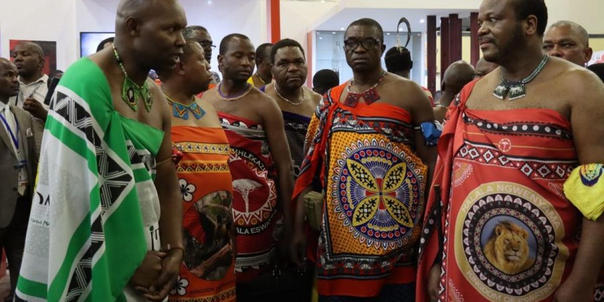 IDM Eswatini thrills at the trade fair | IDM